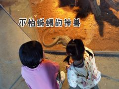 -灵玲国际马戏城