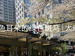 -玛格萝妮比萨屋(四平店)