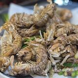 今天我要带你们探索一家超赞的海鲜大排档