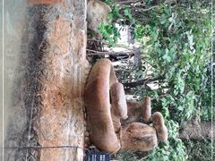 -深业半汤御泉庄温泉