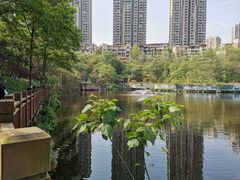 -重庆彩云湖湿地公园