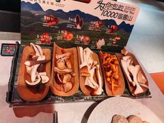 当季野生菌拼盘-芸山季·云南野生菌火锅(人民广场来福士店)