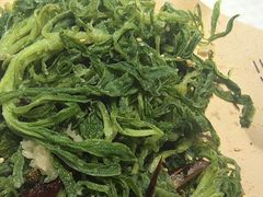 -三强鸽子(中原路店)