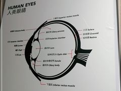 -MUJOSH木九十眼镜(日月光店)