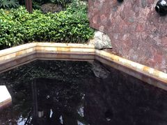 -天目湖涵田半山温泉