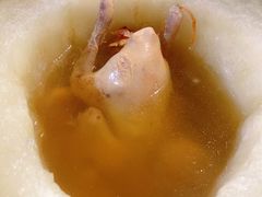-石岐乳鸽村(南海第三分店)