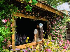 -HERRE·FARM 赫尔露营农场·团建聚会包场