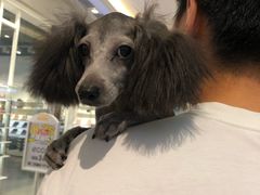 -南京东南眼科医院·近视手术·儿童近视·综合眼病