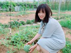 -海堤葡萄园中小学生研学基地