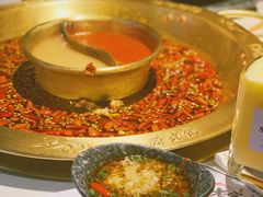 -哥老官重庆美蛙鱼头(龙湖杭州金沙天街店)