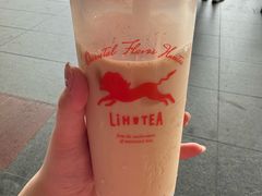 -圣淘沙天际线斜坡滑车