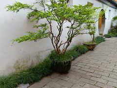 -北寺塔