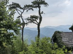 -莫干山风景区