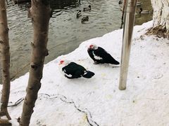-必胜客(积水潭店)