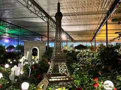 -南宫五洲植物乐园