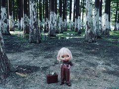 -艾溪湖湿地公园