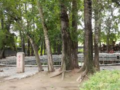 -中华三祖圣地黄帝城遗址文化旅游区