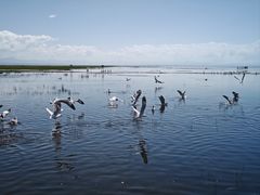 -青海湖仙女湾景区