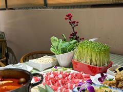-番食园鲜食火锅(高新店)