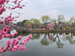 -无锡蠡湖国家湿地公园-蠡园