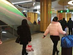 -奥体中心(地铁站)