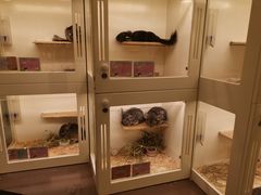 -龙猫仔乐园(惠福东路店)