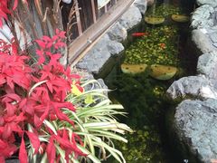 -京都冈本和服体验租赁店(清水寺店)