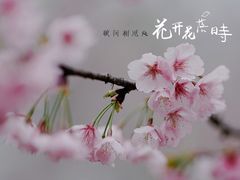 -白塘生态植物园