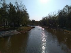 -武清南湖绿博园