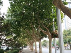 -水仙拉面(水仙街店)