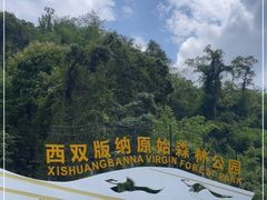 -西双版纳原始森林公园