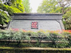 -青城山
