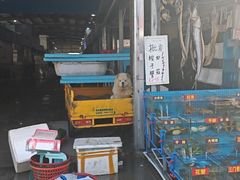 -上海龙吴水胜海发市场