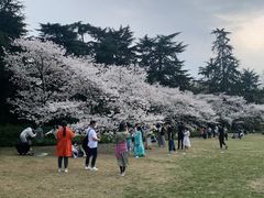 -西湖外事游船(花港观鱼码头)