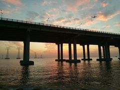 -宝安西湾红树林湿地公园