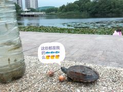 -新江湾城公园