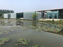 -微山湖红荷湿地景区