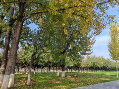 -汉长安城未央宫国家考古遗址公园