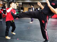 -极斗-IKMF马伽术·格斗运动学院(东直门店)