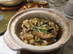鮰鱼煲！-尚一汤 广东炖汤(金桥国际店)