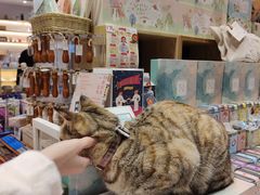-猫的天空之城概念书店(苏州平江店)