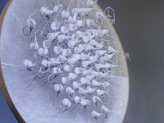 -成都许燎源现代设计艺术博物馆