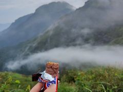 -萍乡武功山风景名胜区