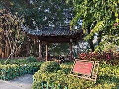 -乌山风景区
