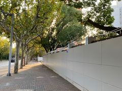 -上海市世外小学