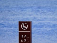 -深圳湾公园(南山区)