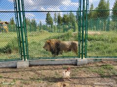 -鄂尔多斯野生动物园