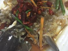 悠悠美食-悠悠美食