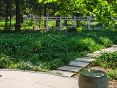 -国家植物园南园