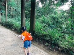 -天河潭旅游度假区